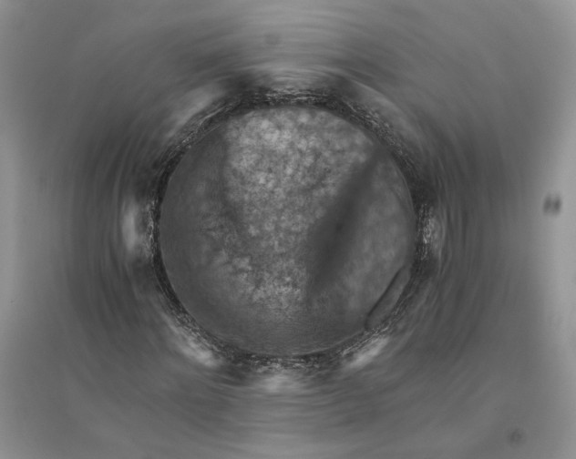 X0000094450868200711291657