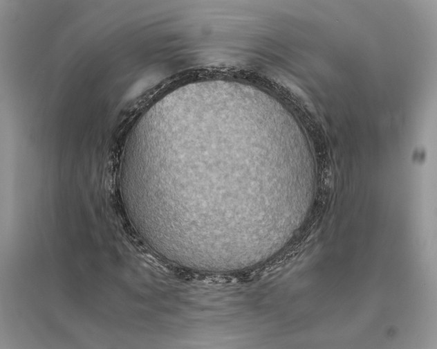 X0000094450869200711291657