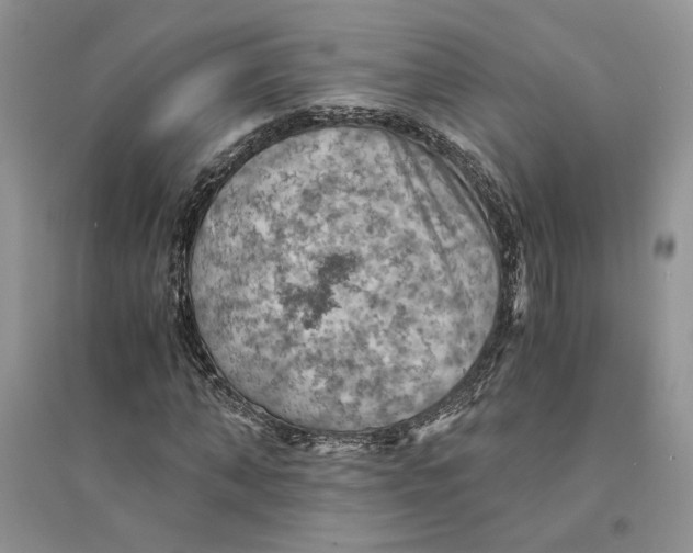 X0000094450870200711291657