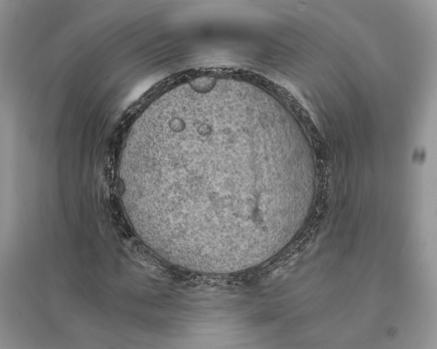 X0000094450871200711291657