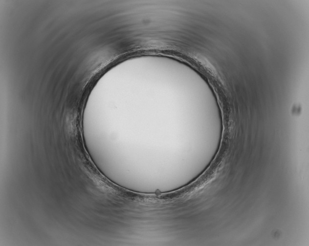 X0000094450873200711291657