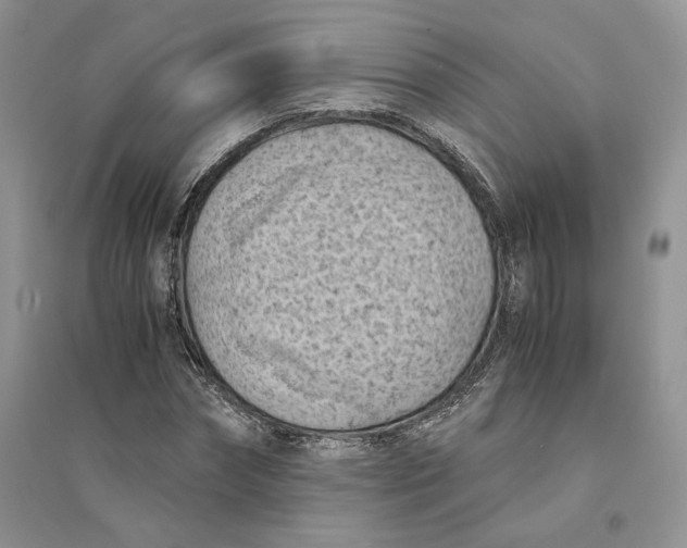 X0000094450874200711291657