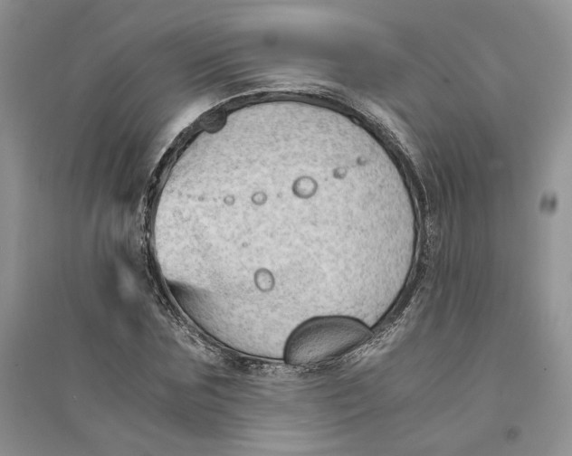 X0000094450875200711291657