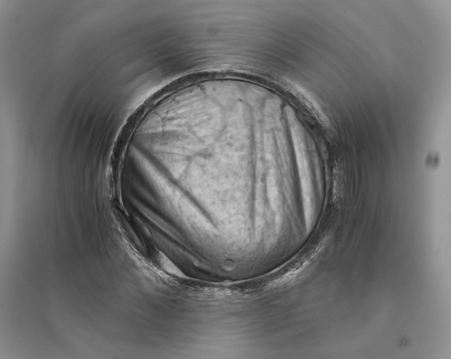 X0000094450876200711291657