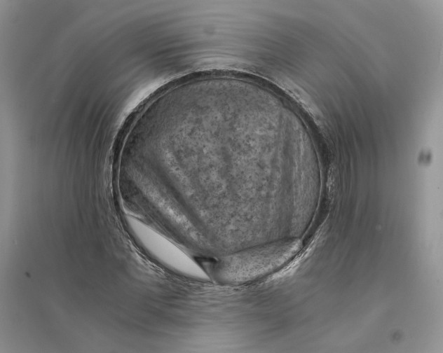 X0000094450877200711291657