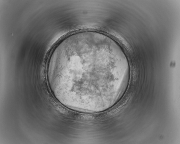 X0000094450878200711291657