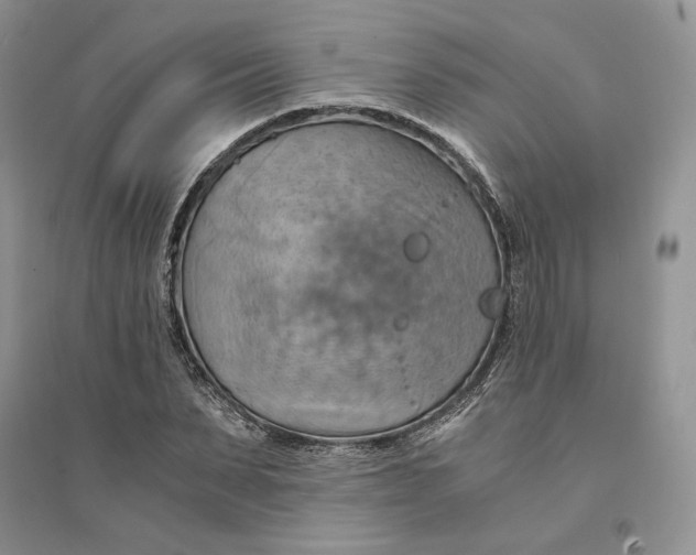 X0000094450879200711291657