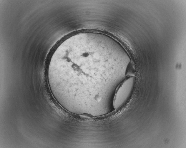 X0000094450880200711291657