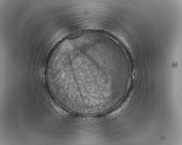 X0000094450881200711291656