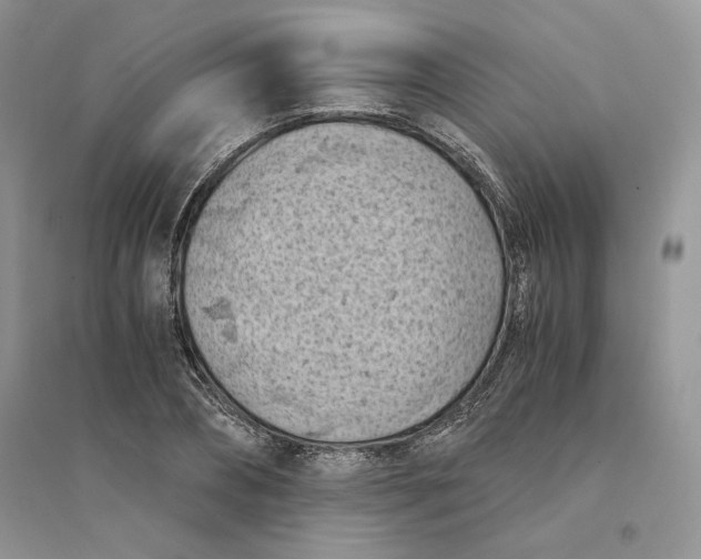 X0000094450882200711291656