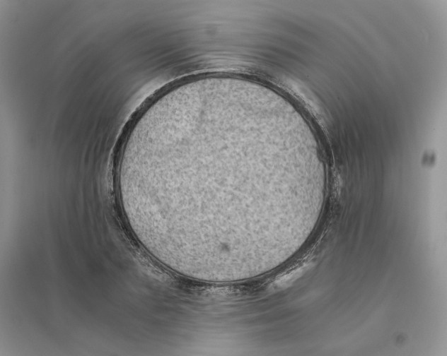 X0000094450883200711291656