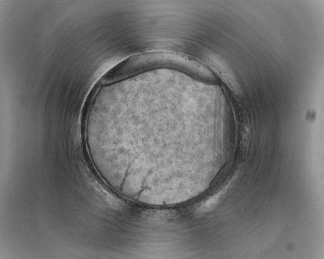 X0000094450884200711291656