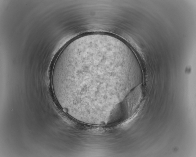 X0000094450885200711291656