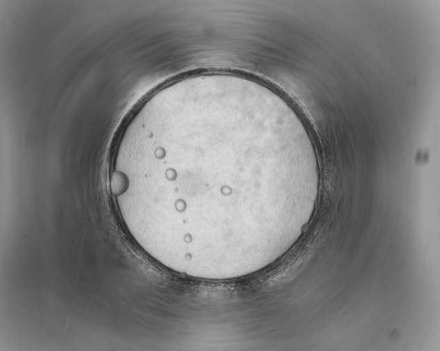 X0000094450887200711291656