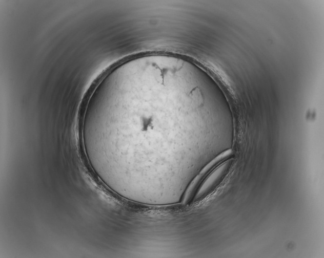 X0000094450888200711291656