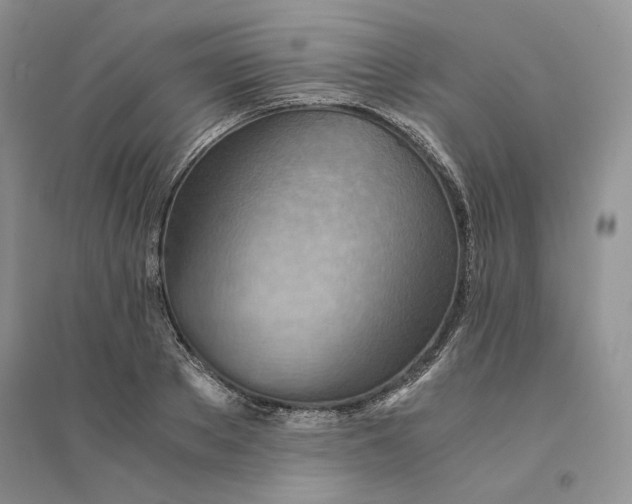 X0000094450889200711291656