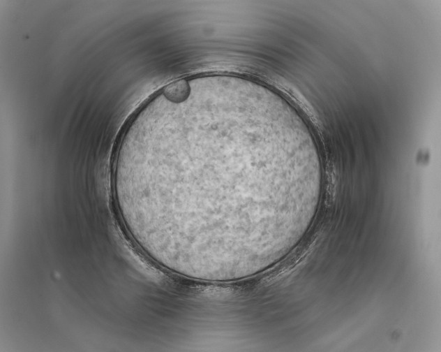 X0000094450890200711291656