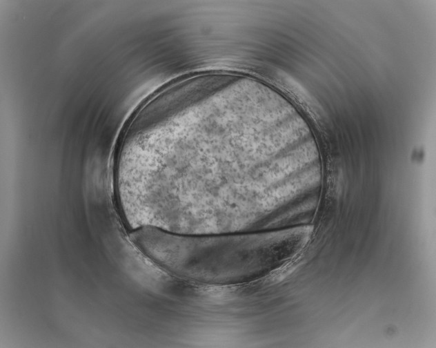 X0000094450892200711291656