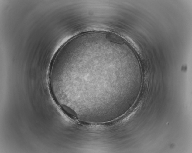 X0000094450893200711291656