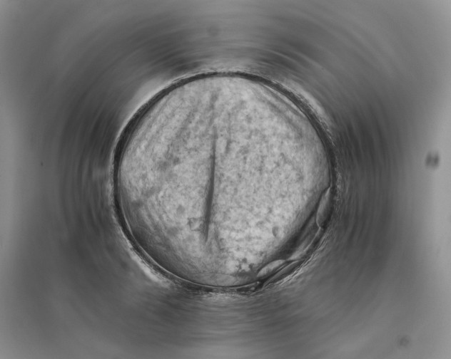 X0000094450894200711291656