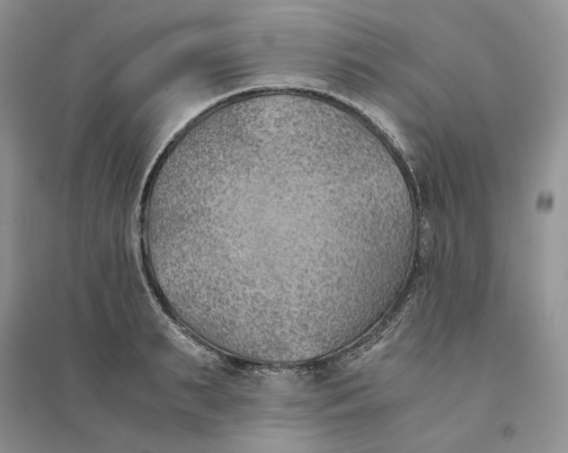 X0000094450895200711291656