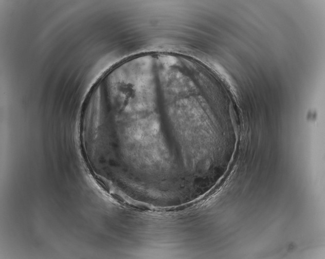 X0000094450896200711291656