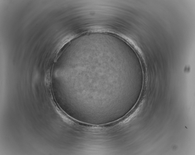 X0000094450897200711291656