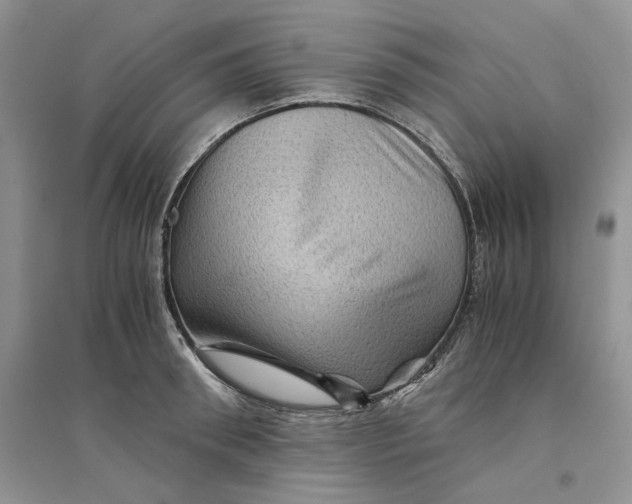 X0000094450898200711291656