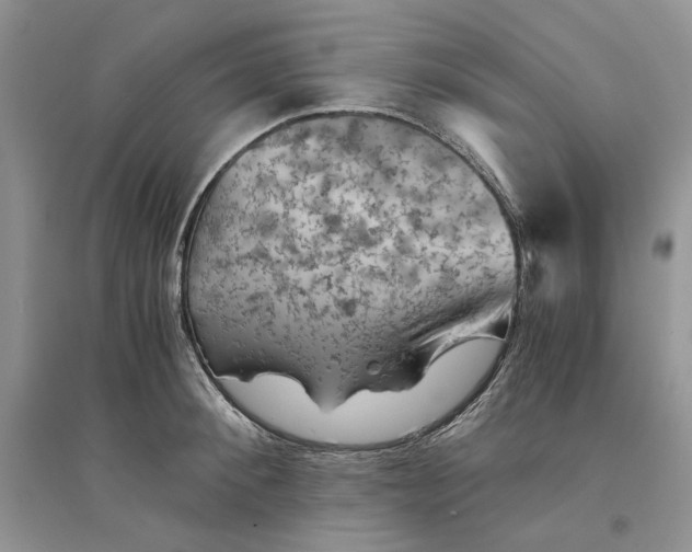 X0000094450900200711291656