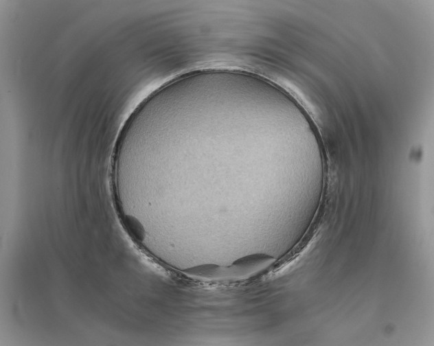 X0000094450901200711291656