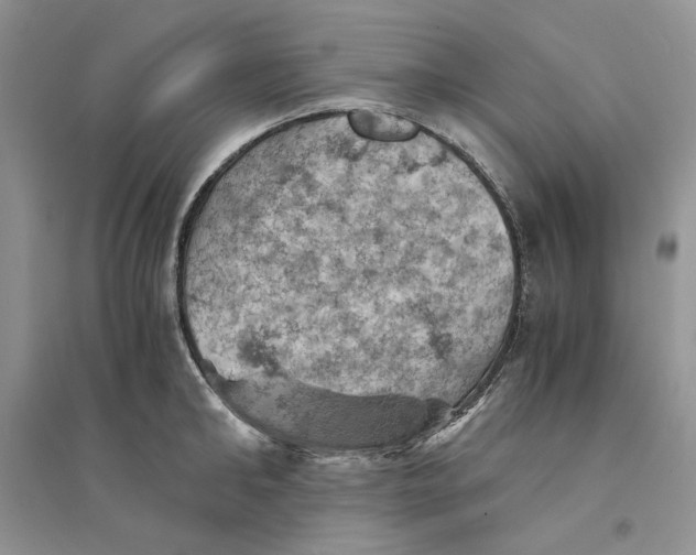 X0000094450902200711291656