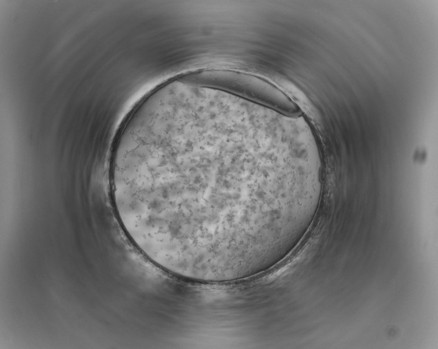 X0000094450904200711291656