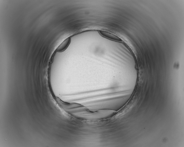 X0000094450906200711291656