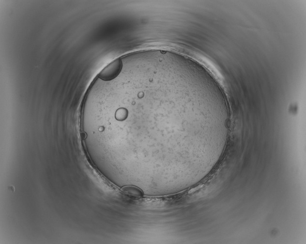 X0000094450907200711291656