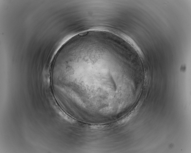 X0000094450908200711291656