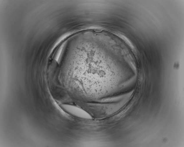 X0000094450910200711291656