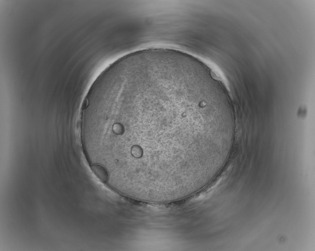 X0000094450911200711291656