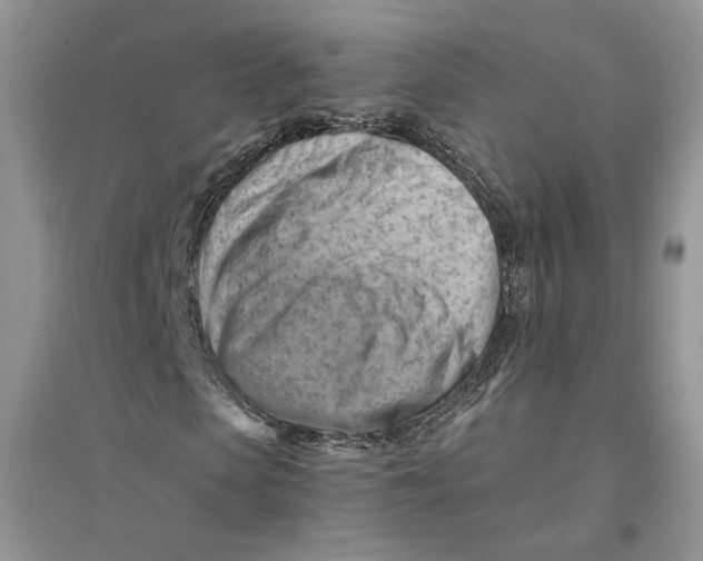 X0000094450913200711291655