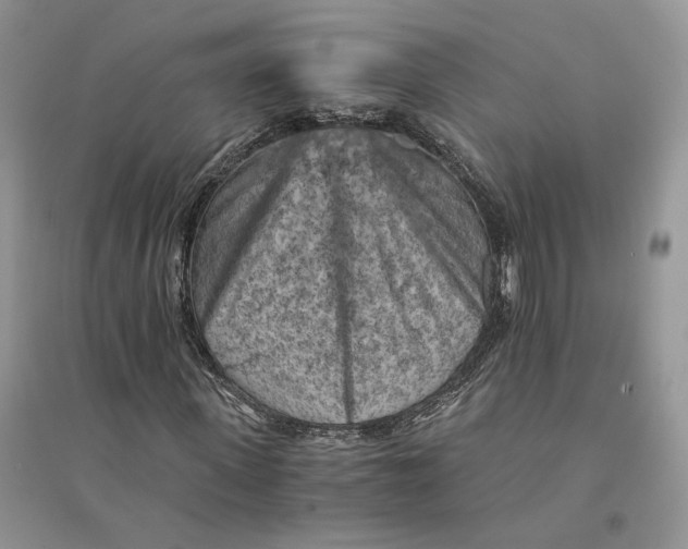 X0000094450915200711291655