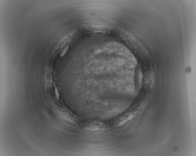 X0000094450916200711291655