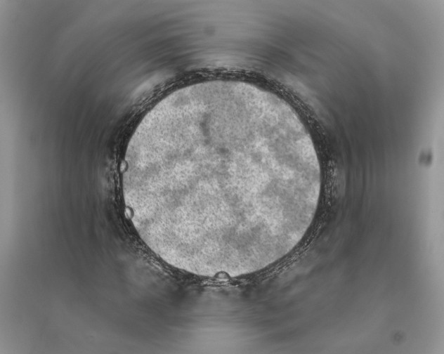 X0000094450918200711291655