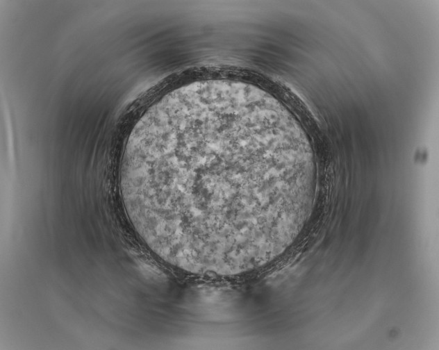 X0000094450919200711291655