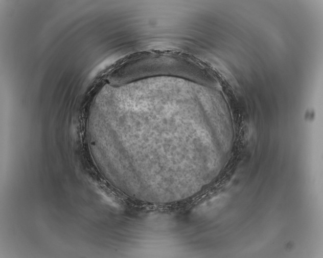 X0000094450920200711291655