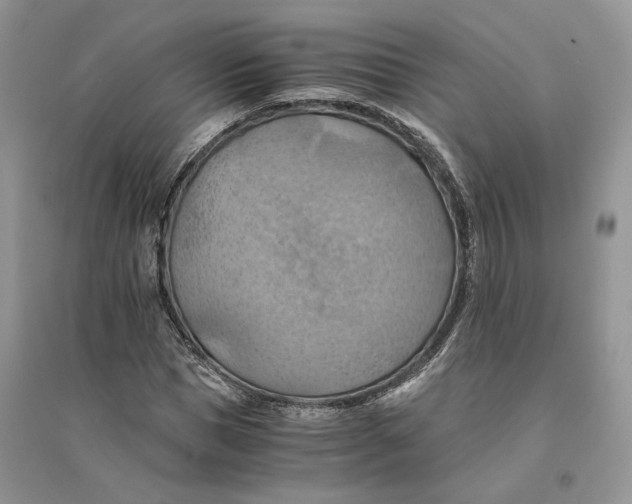 X0000094450921200711291655