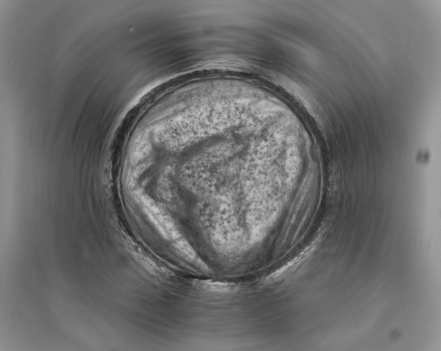 X0000094450923200711291655