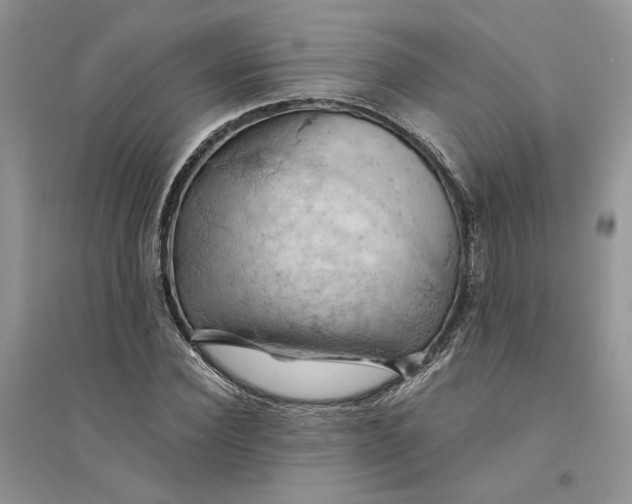 X0000094450924200711291655