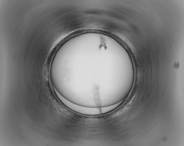 X0000094450925200711291655