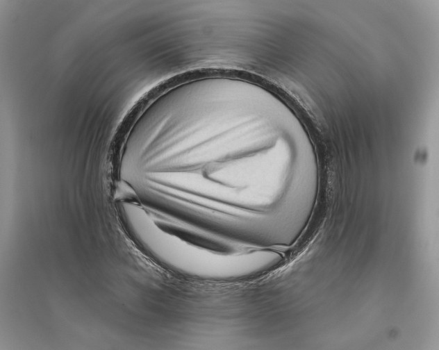 X0000094450926200711291655