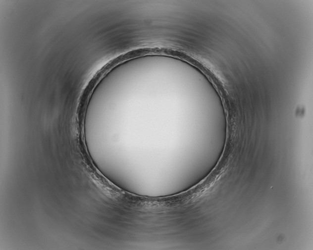 X0000094450927200711291655