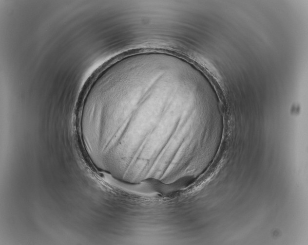 X0000094450928200711291655